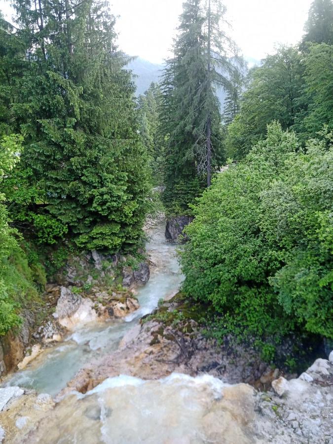 Gorski Biser Mojstrana Ngoại thất bức ảnh