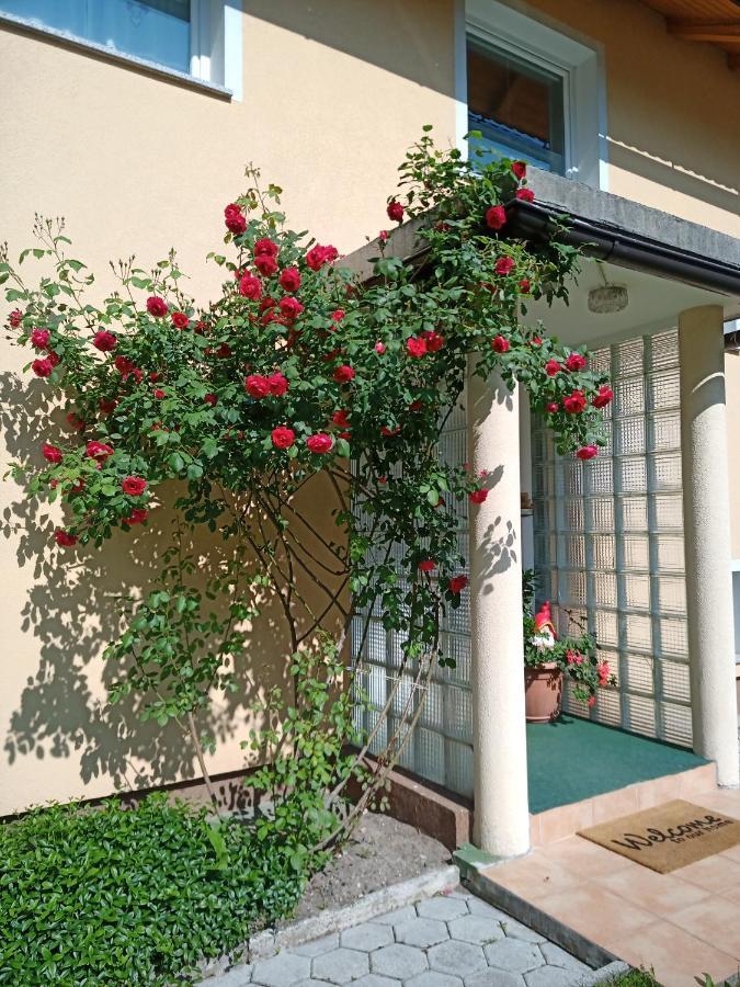 Gorski Biser Mojstrana Ngoại thất bức ảnh
